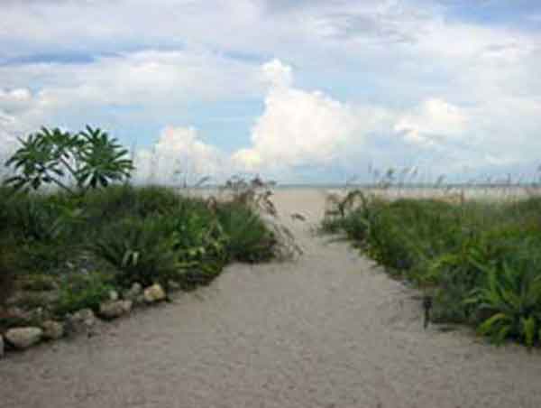 Beachside Palms Treasure Island Beach Hotel St Petersburg Fl