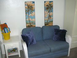 Treasure Island Hotel Lady Palm